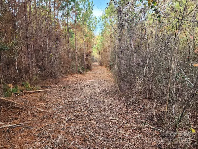 a view of a field of grass and trees