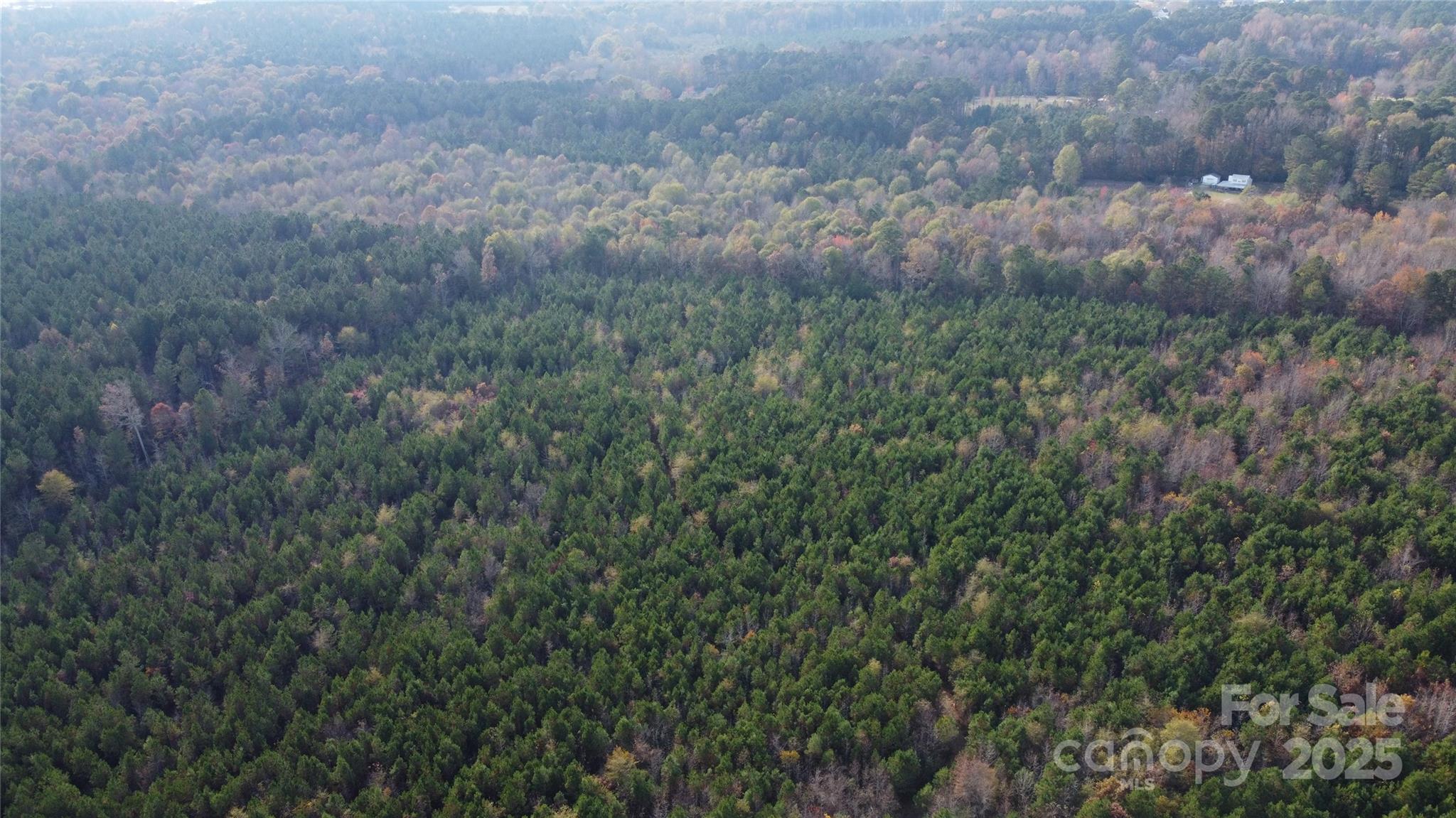 2351 Reges Store Road Nashville, NC 27856 - Photo 32 of 48 a view of a field of grass and trees