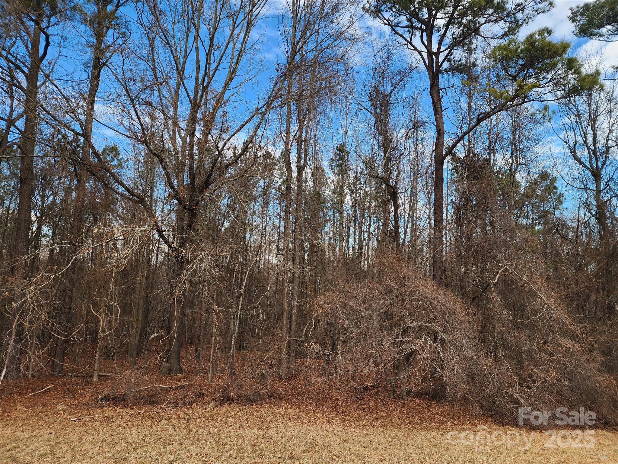 2351 Reges Store Road Nashville, NC 27856 - Photo 34 of 48 a backyard of a house with lots of green space