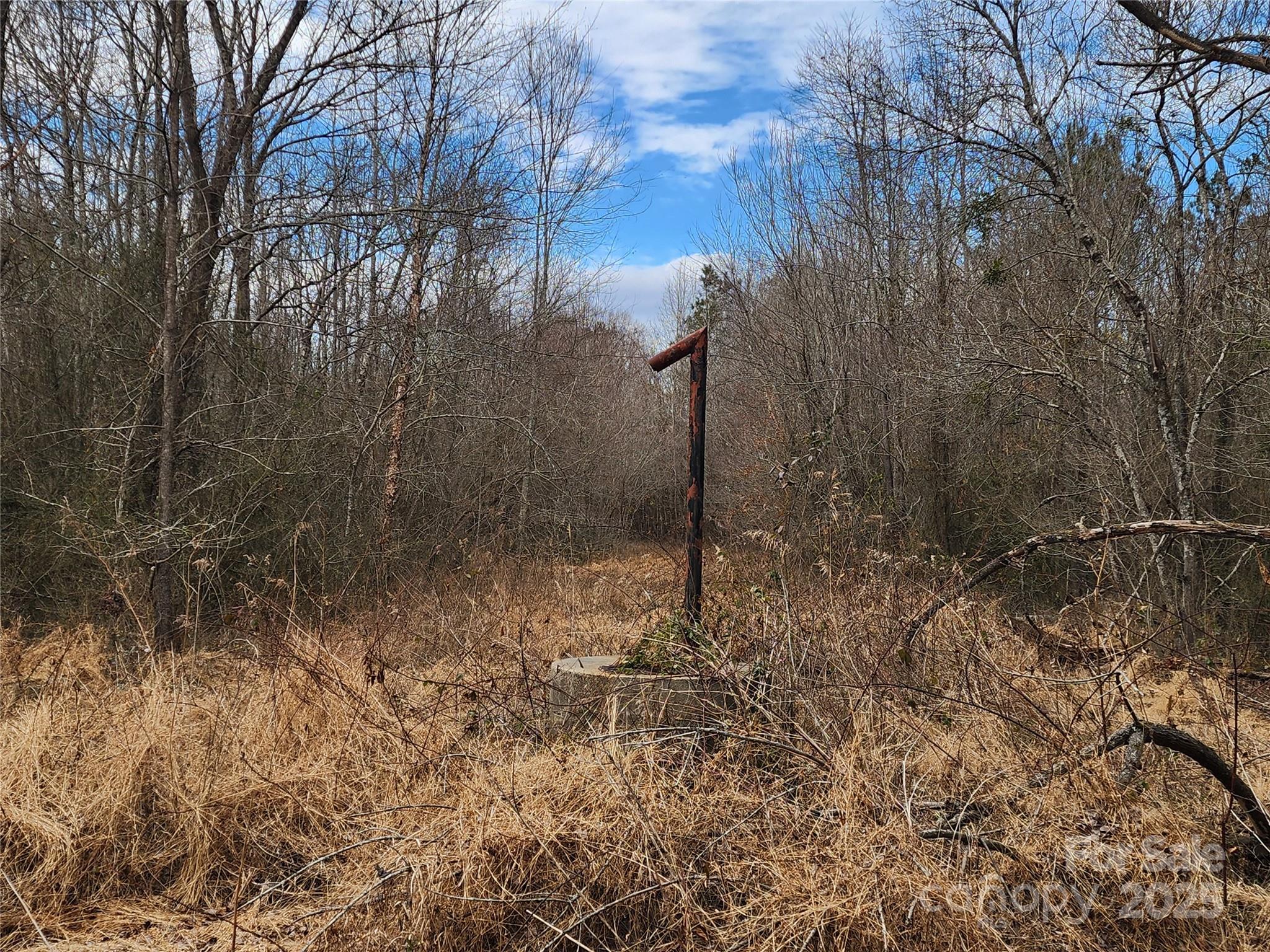 2351 Reges Store Road Nashville, NC 27856 - Photo 45 of 48 a view of a forest