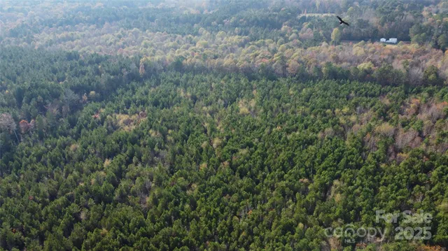 a view of small yard