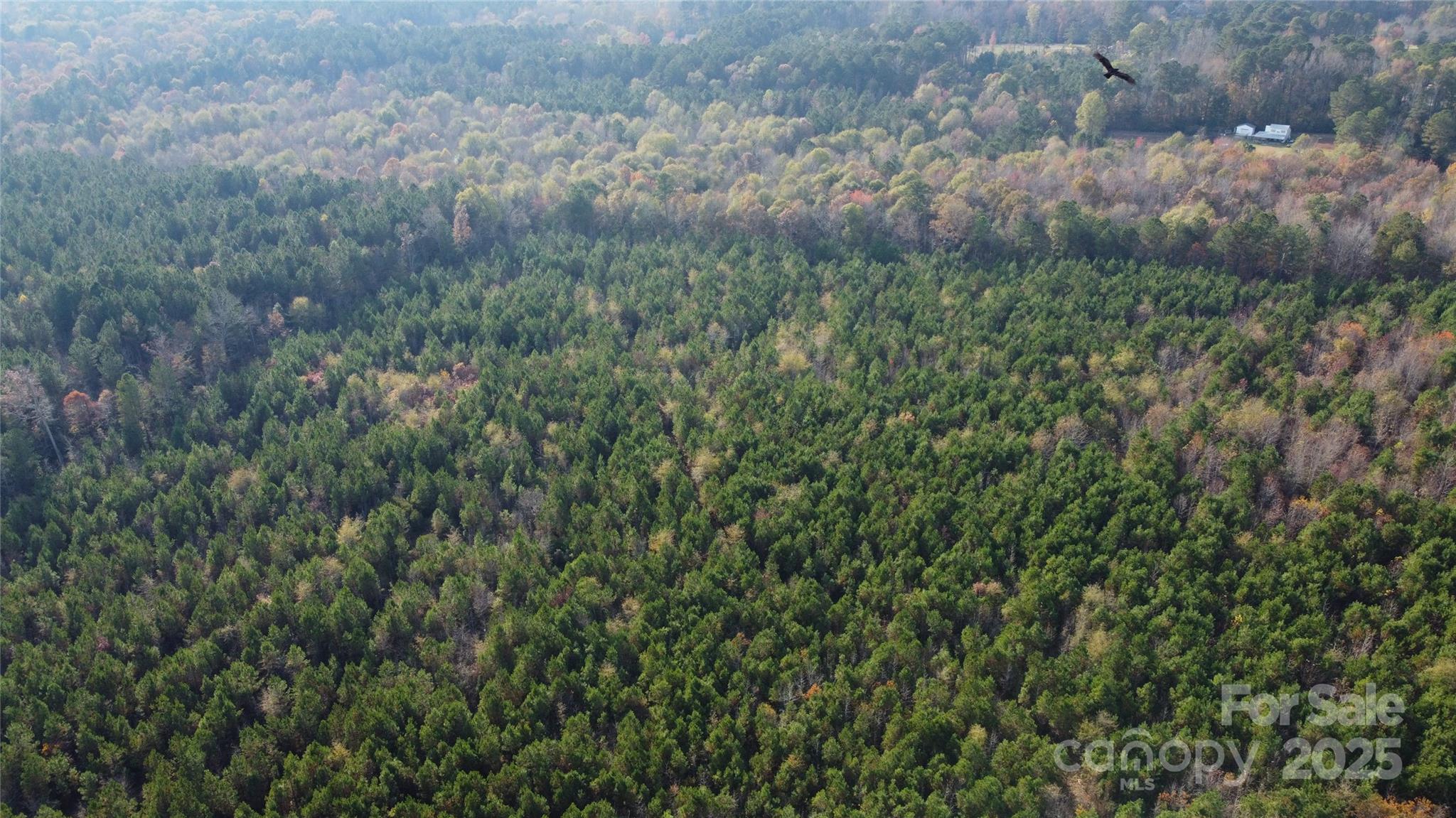 2351 Reges Store Road Nashville, NC 27856 - Photo 9 of 48 a view of a field of grass and trees