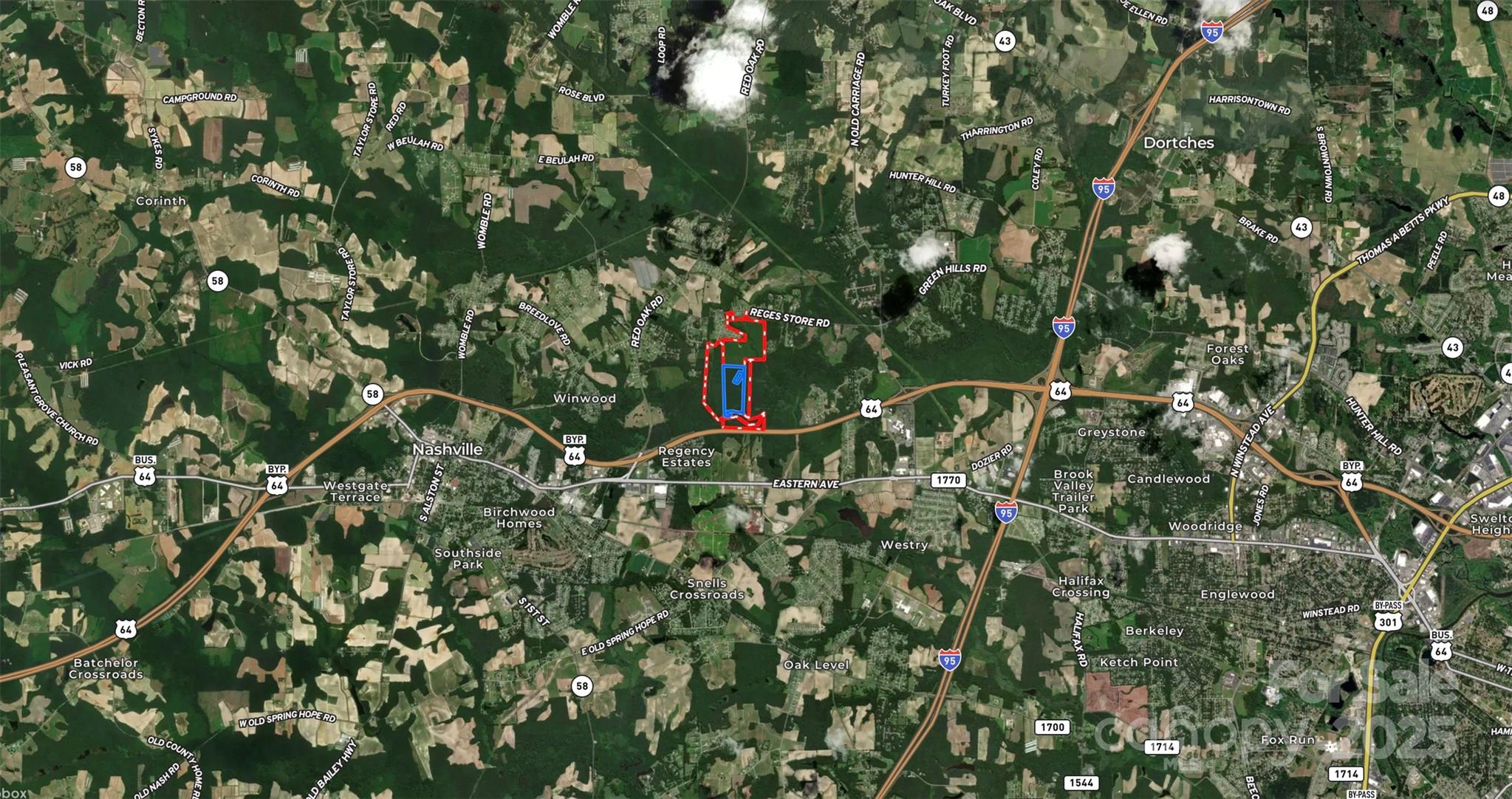 2351 Reges Store Road Nashville, NC 27856 - Photo 10 of 48