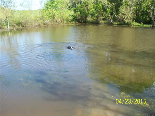 4809 Manners Road Lebanon, TN 37087 - Photo 17 of 19 a view of a lake view