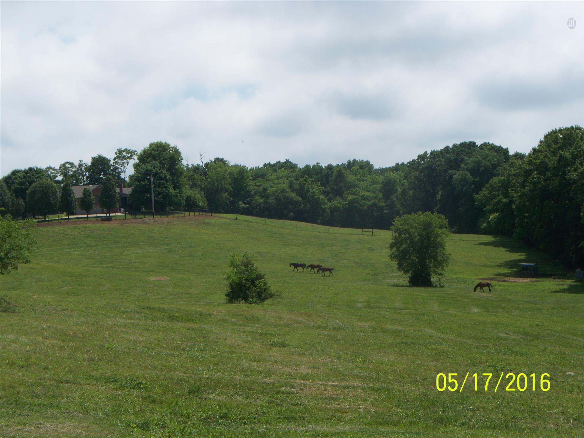 4809 Manners Road Lebanon, TN 37087 - Photo 6 of 19 a view of a water pond with green space