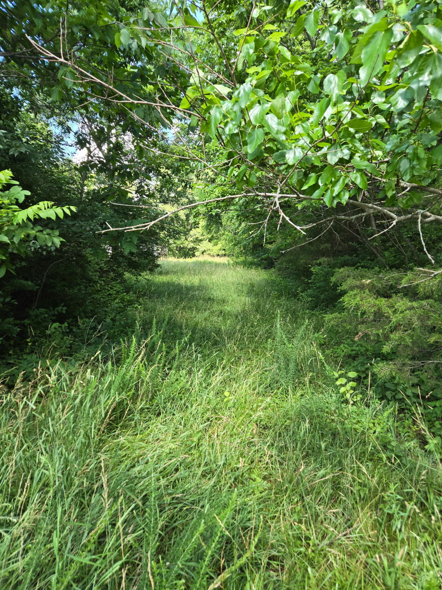 25 Leaning Oak Road Corinth, KY 41010 - Photo 2 of 16 8617483777327312558