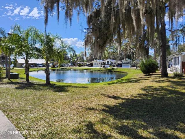 a view of a swimming pool with a lawn chairs and palm trees