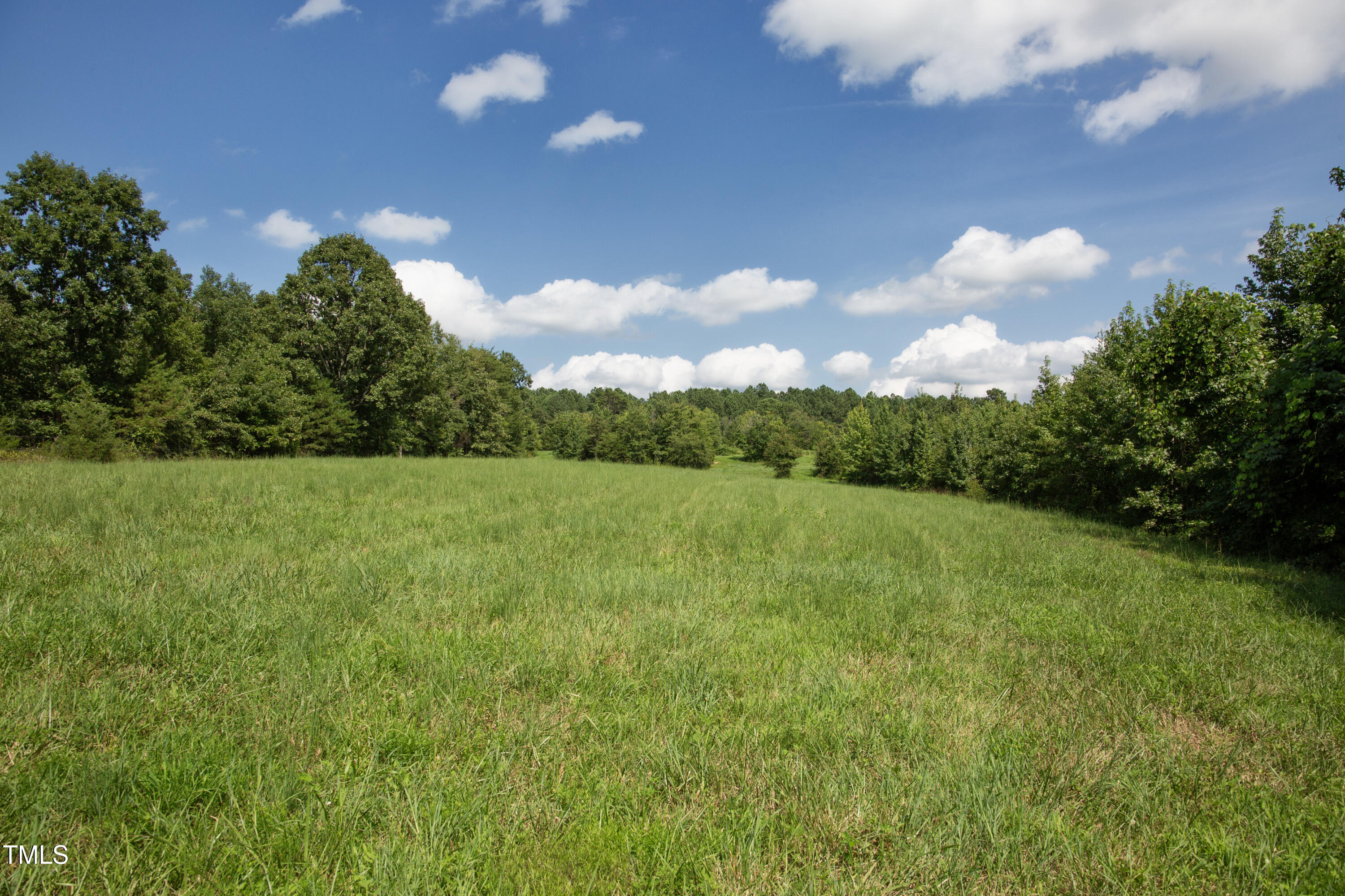 0 Weadon Road Blanch, NC 27212 - Photo 11 of 21 a view of a big yard with potted plants and large tree