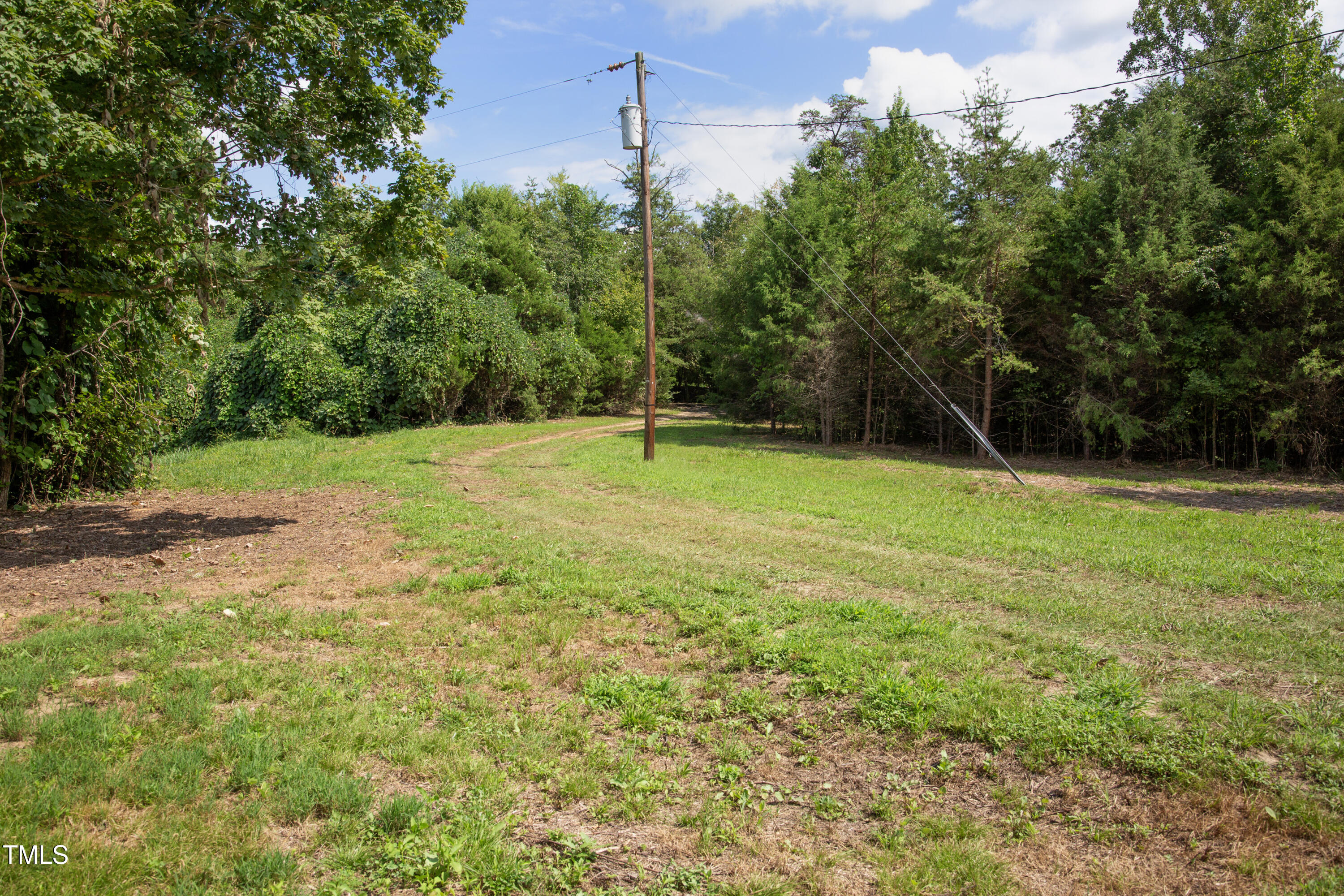 0 Weadon Road Blanch, NC 27212 - Photo 13 of 21 a view of a field with a tree in the background