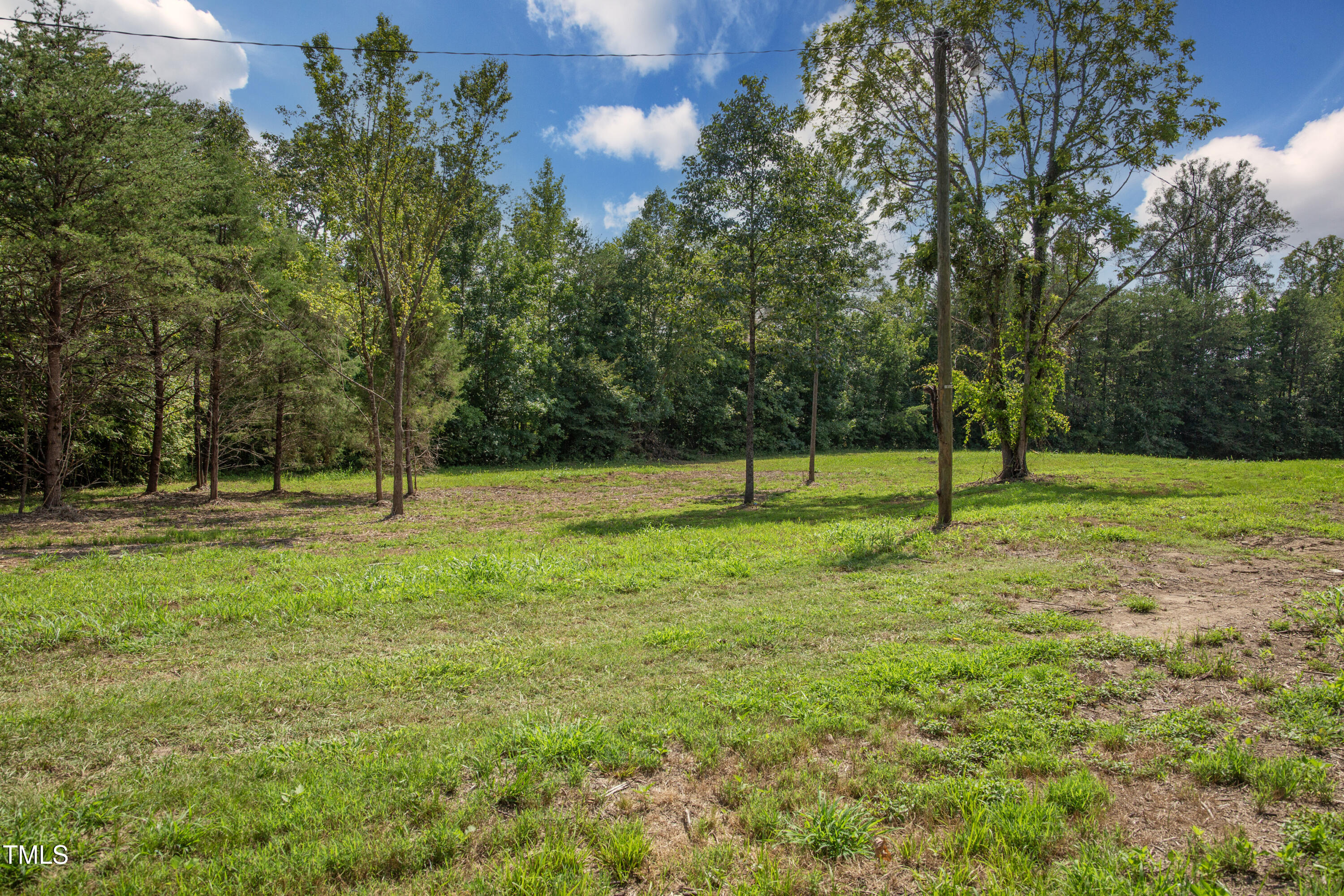 0 Weadon Road Blanch, NC 27212 - Photo 14 of 21 a view of a tree in a yard