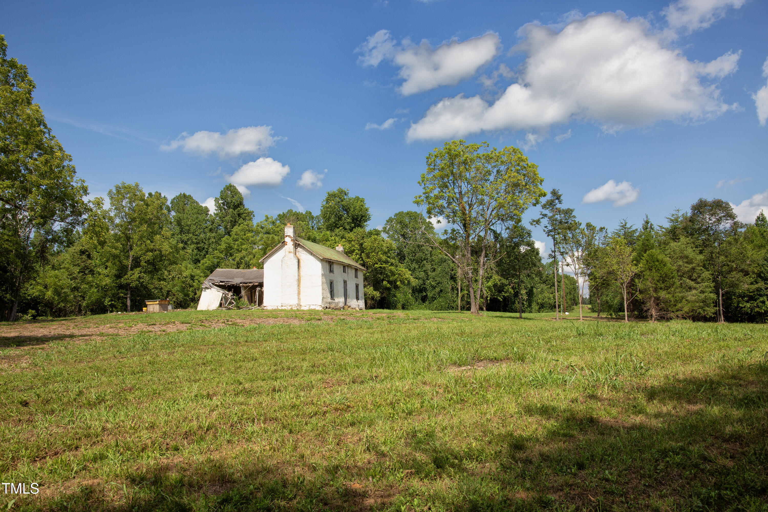 0 Weadon Road Blanch, NC 27212 - Photo 16 of 21 a large tree with lots of trees in the background