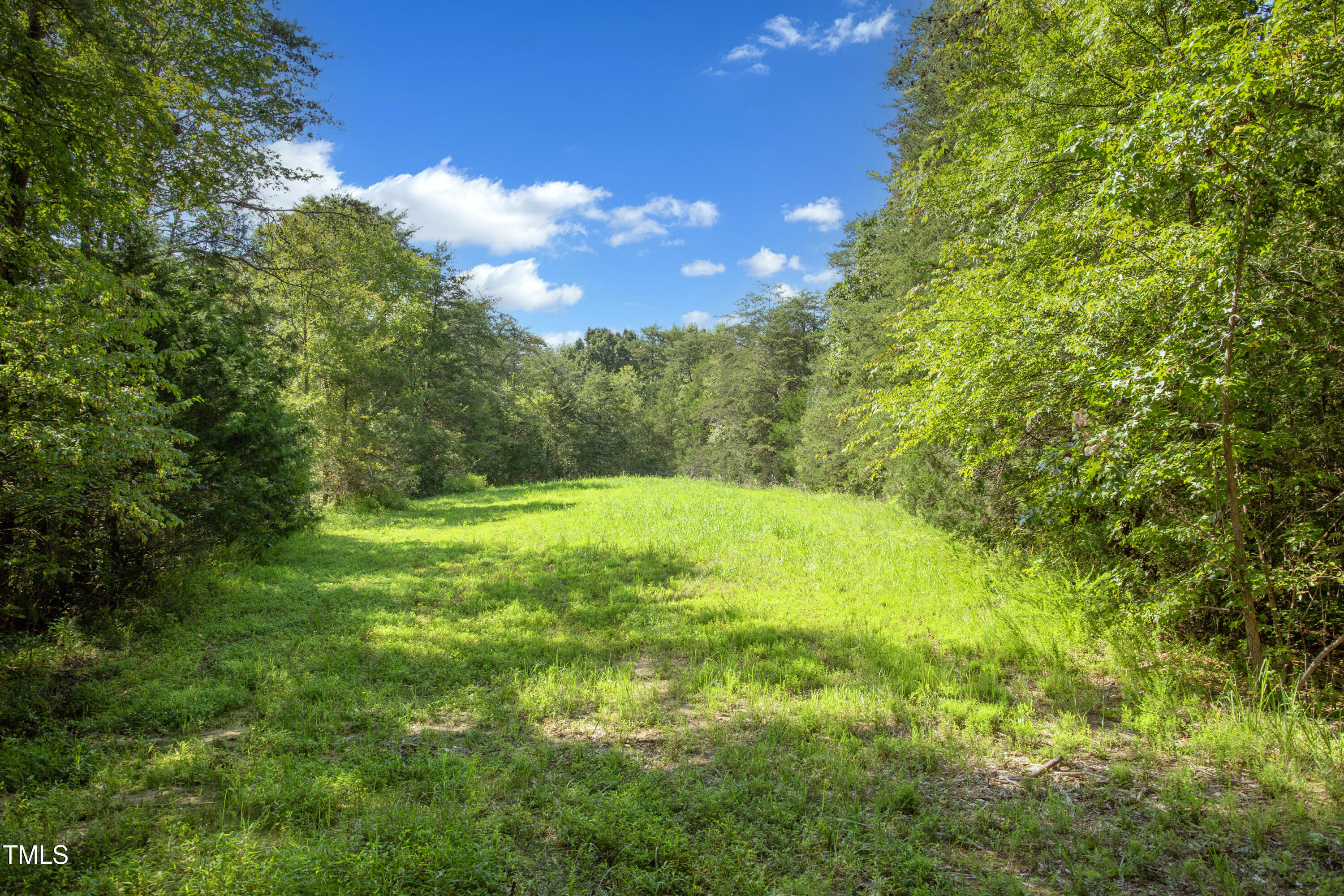 0 Weadon Road Blanch, NC 27212 - Photo 18 of 21 a view of yard with green space