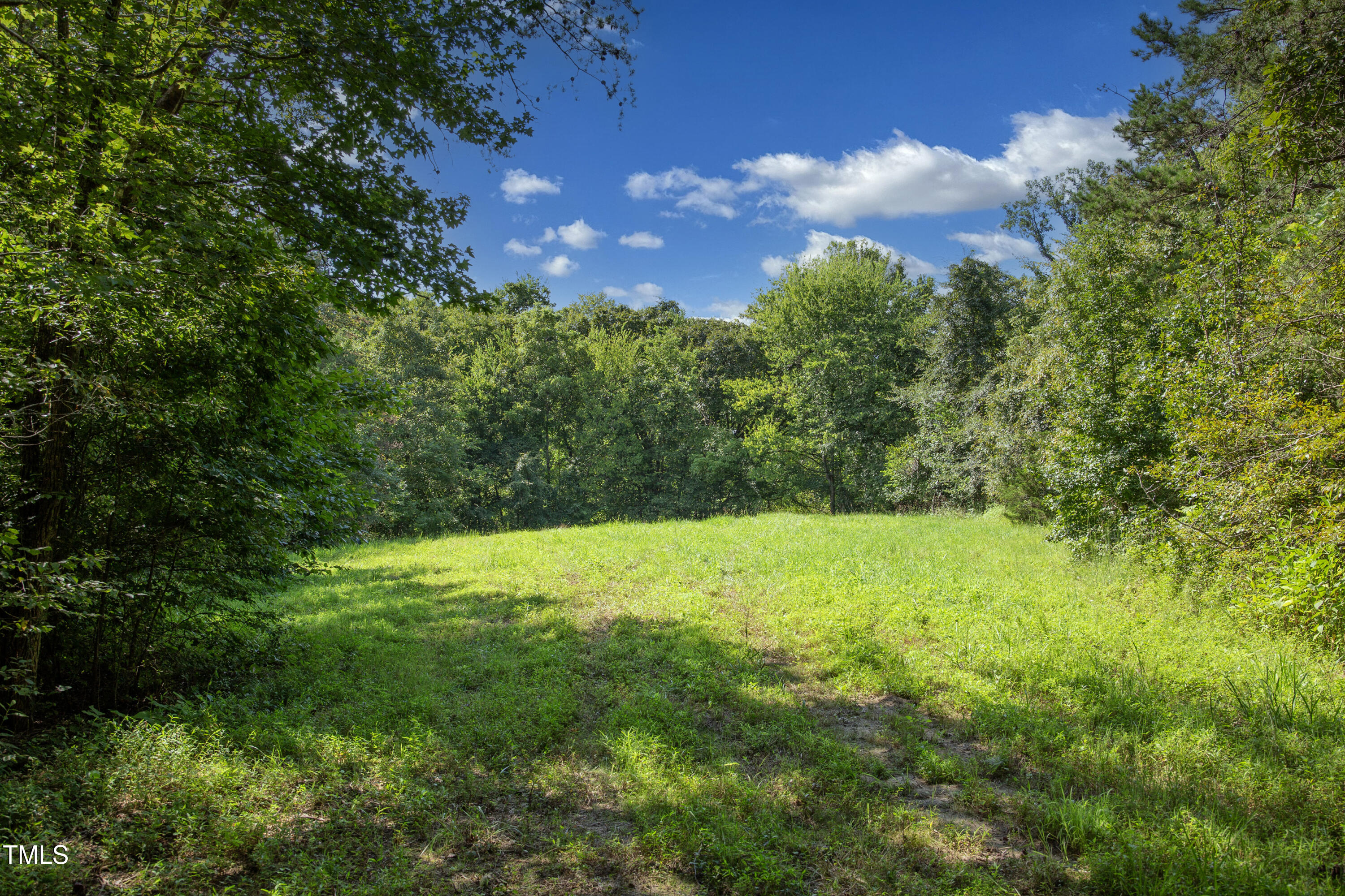 0 Weadon Road Blanch, NC 27212 - Photo 20 of 21 a view of outdoor space and yard