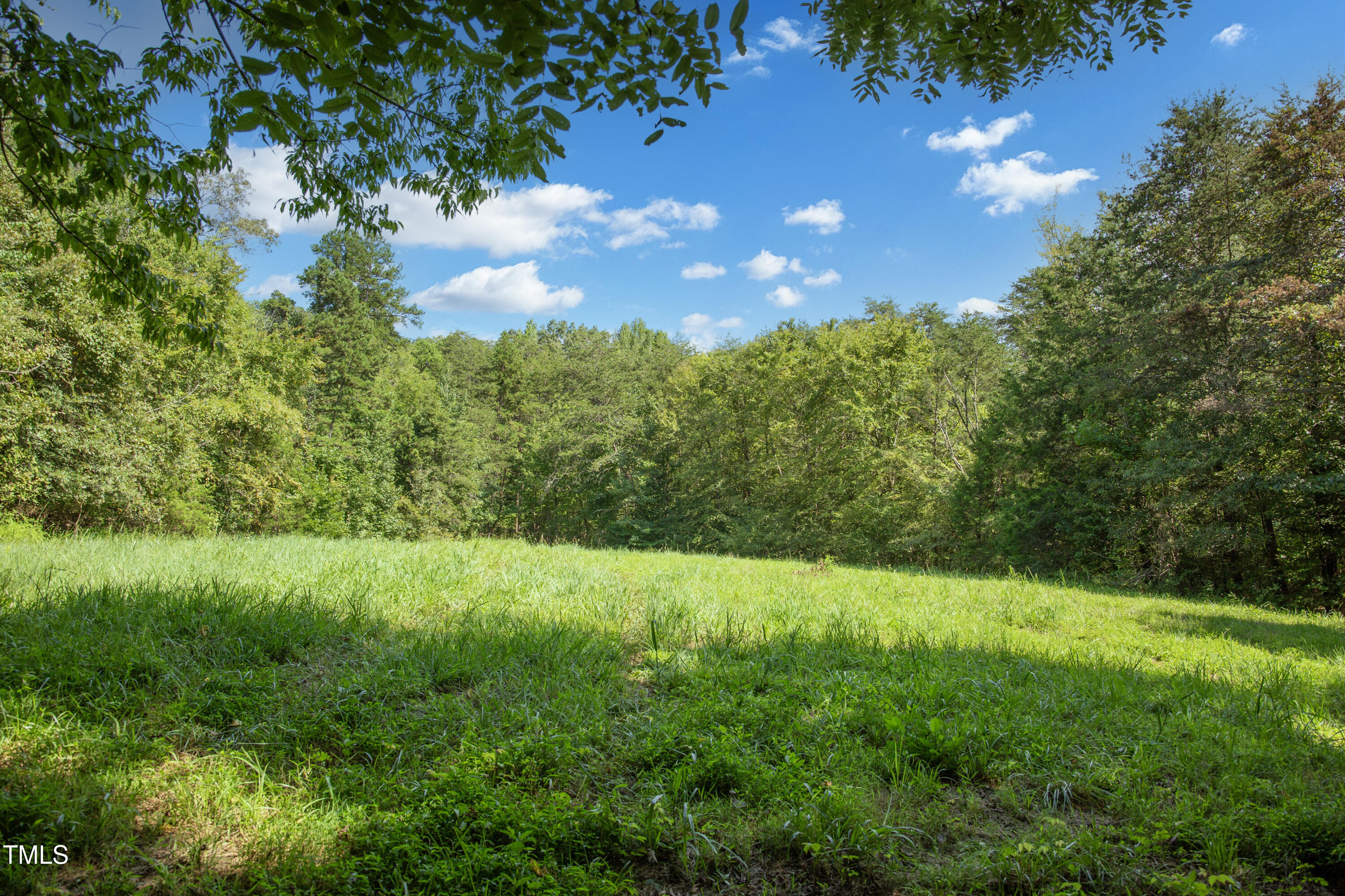 0 Weadon Road Blanch, NC 27212 - Photo 21 of 21 a view of yard with green space
