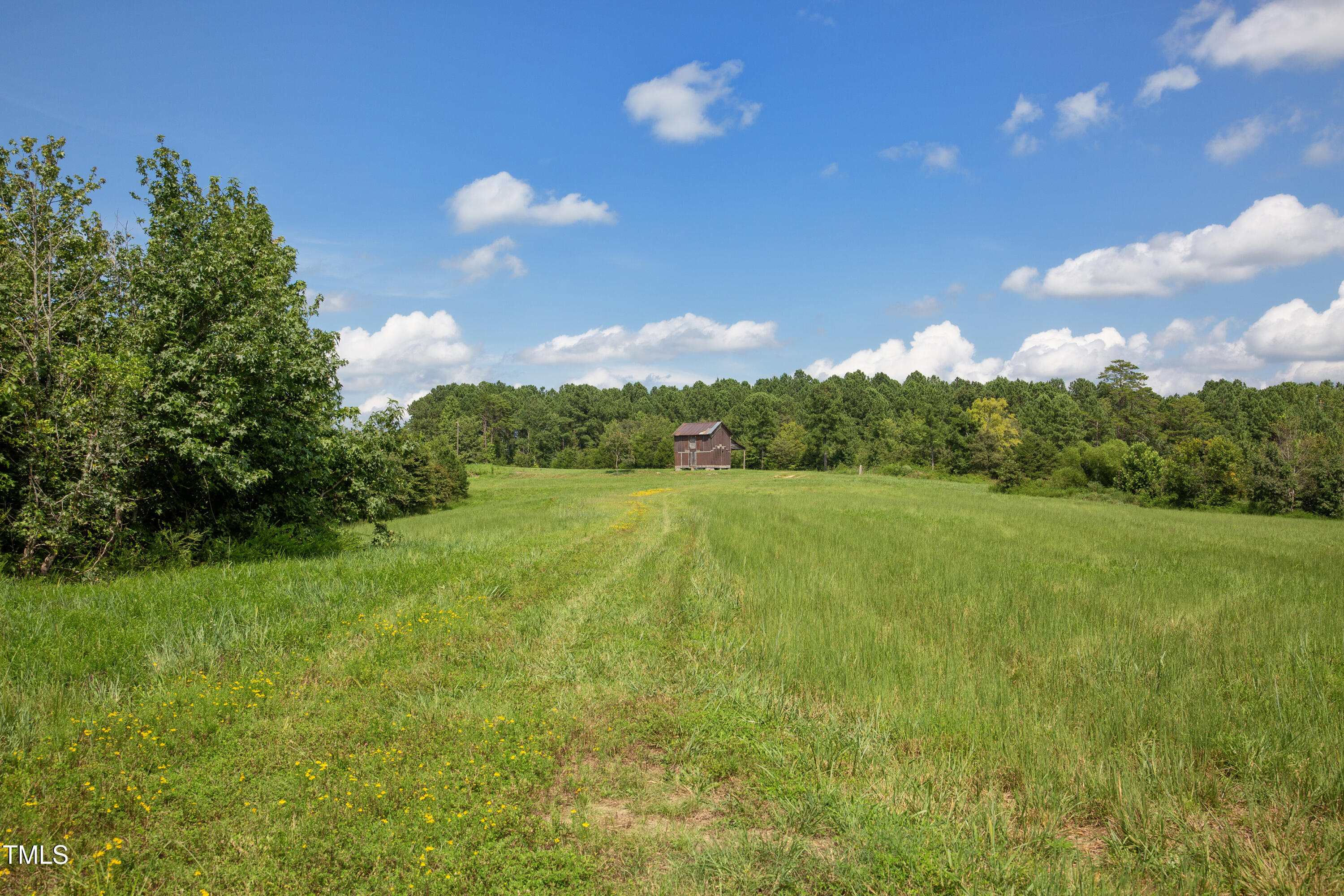 0 Weadon Road Blanch, NC 27212 - Photo 5 of 21 a view of yard with green space