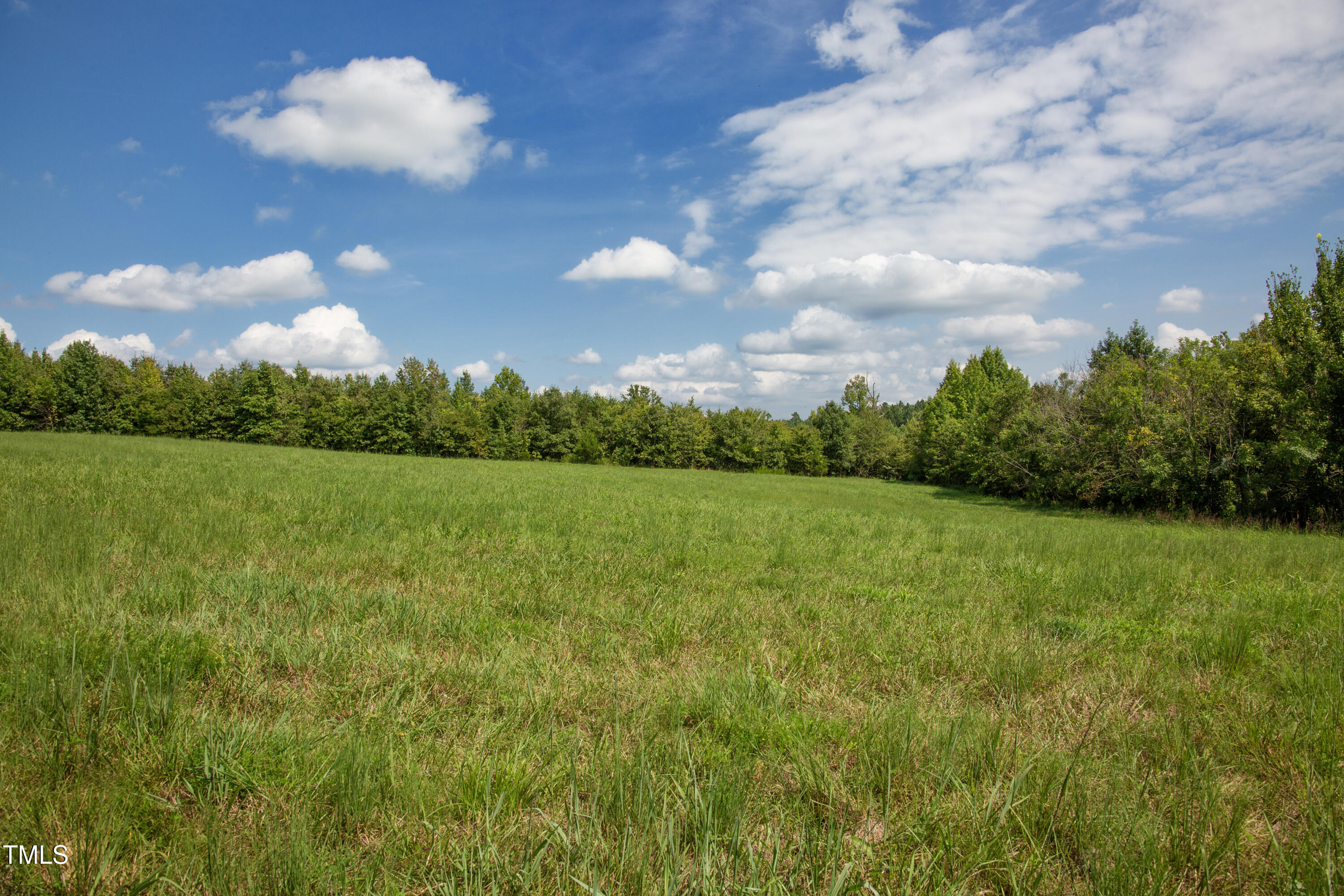 0 Weadon Road Blanch, NC 27212 - Photo 6 of 21 a view of a lake with a big yard