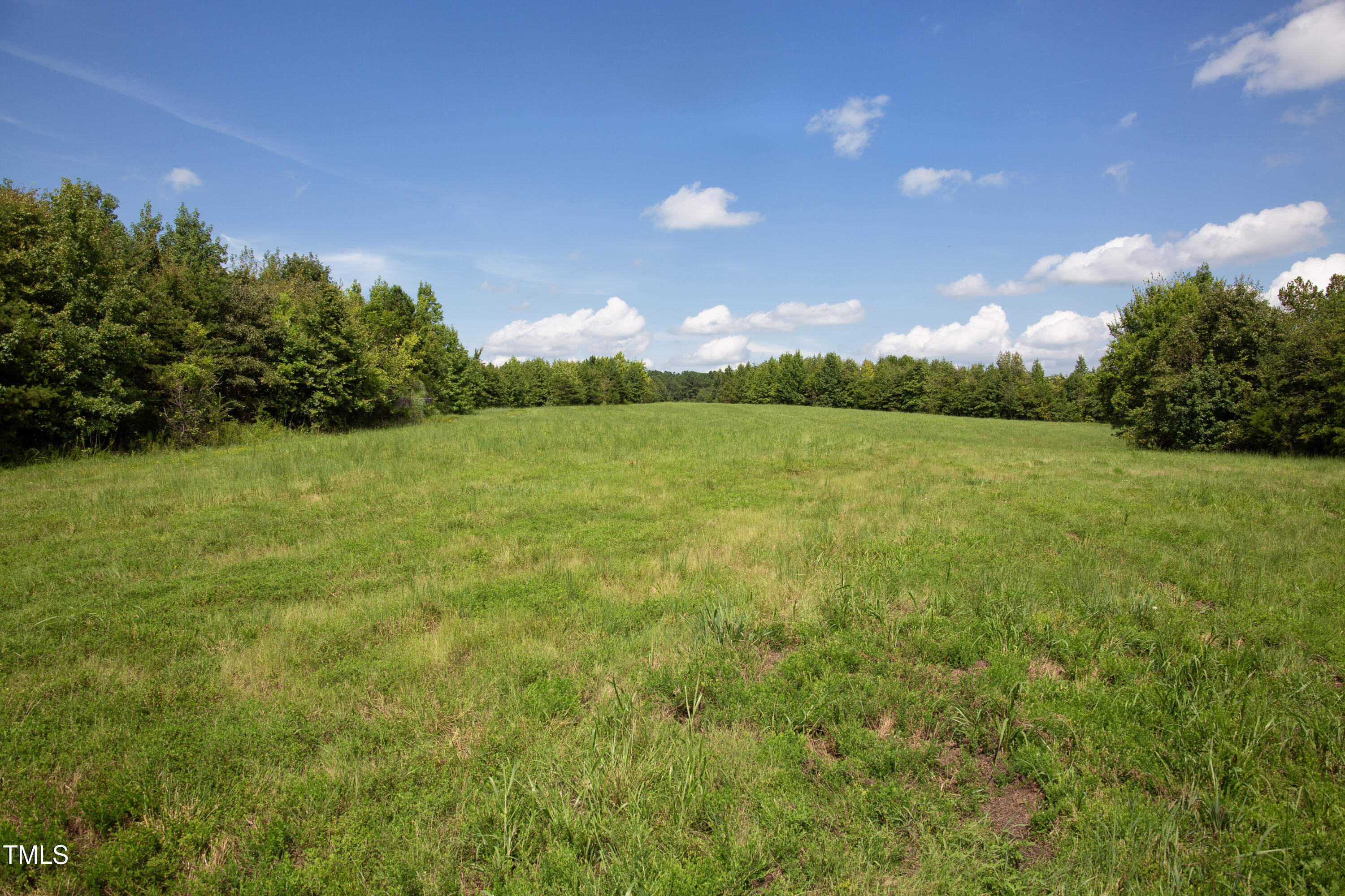 0 Weadon Road Blanch, NC 27212 - Photo 8 of 21 a view of an outdoor space and yard