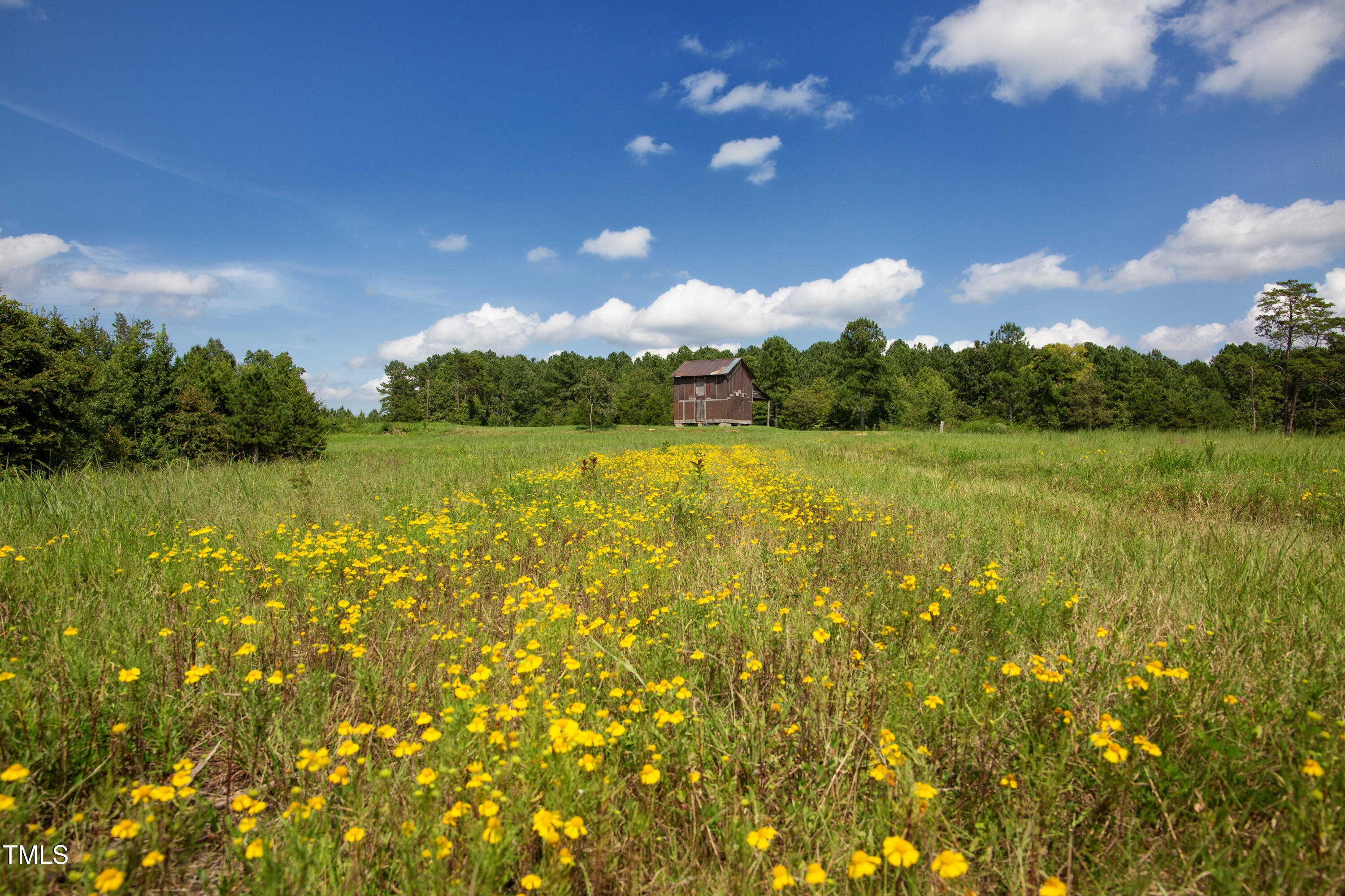 0 Weadon Road Blanch, NC 27212 - Photo 9 of 21 a view of lake and mountain