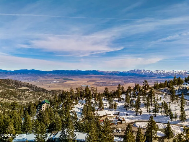 a view of swimming pool from a window