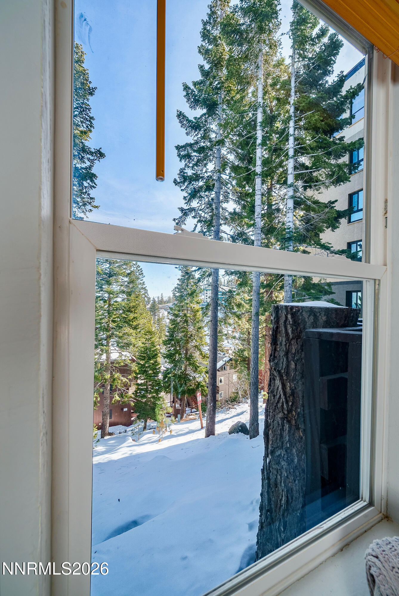 331 Tramway Drive, Unit 13 Stateline, NV 89449 - Photo 27 of 39 IMG_5047