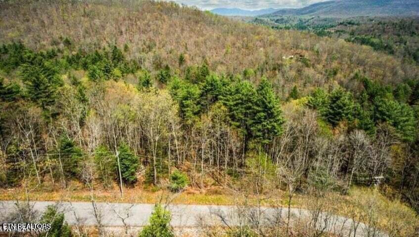 38 Green Ridge Trail Harriman, TN 37748 - Photo 1 of 4 20241217155336787075000000-o (1)