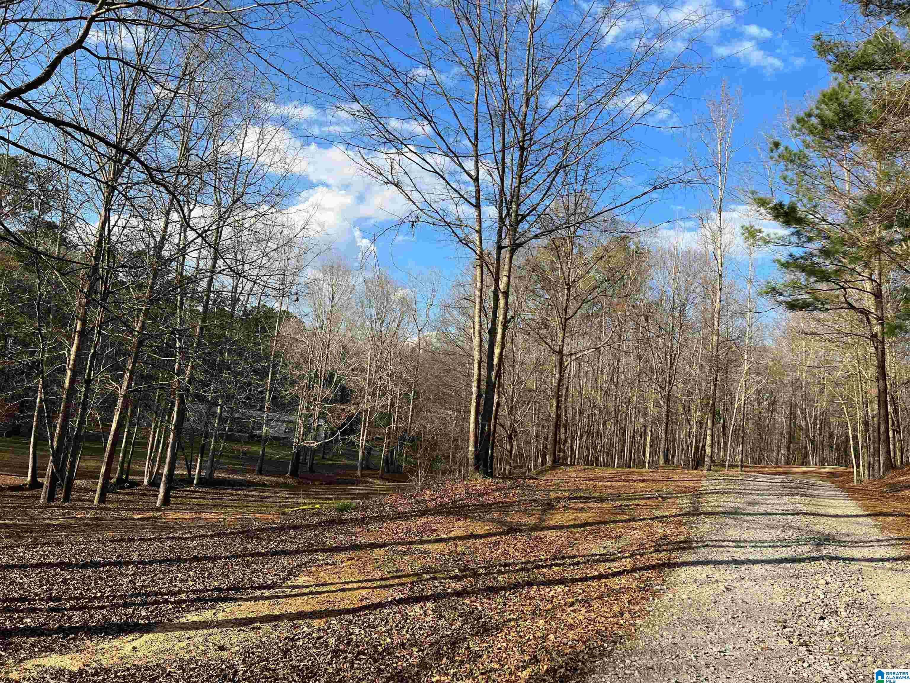 470 County Road 869 Jemison, AL 35085 - Photo 3 of 18