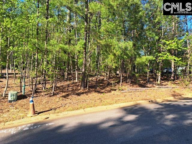 512 Links Pointe Court Chapin, SC 29036 - Photo 1 of 8