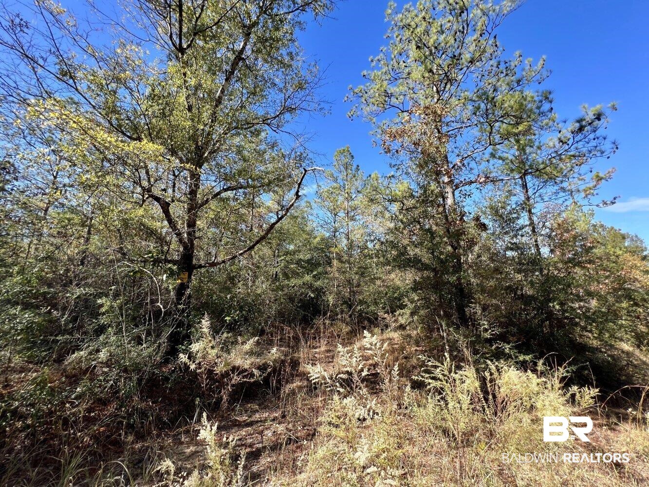 0 C C Road Chunchula, AL 36521 - Photo 9 of 27
