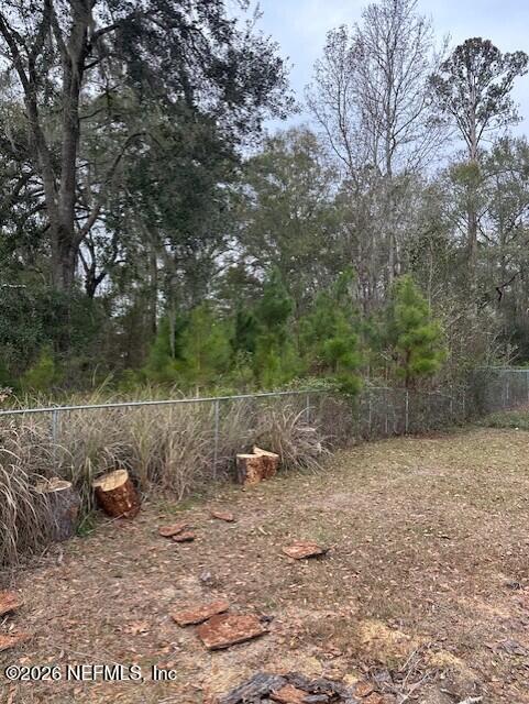 45035 Hartford Court Callahan, FL 32011 - Photo 29 of 30 a view of a dry yard