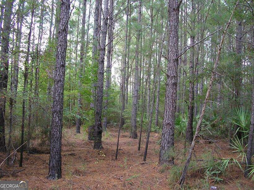 0 Jamestown Road Waycross, GA 31503 - Photo 11 of 19 a view of forest