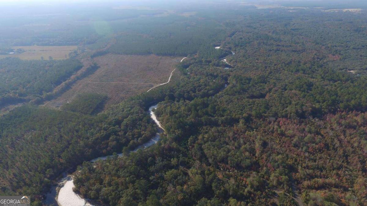 0 Jamestown Road Waycross, GA 31503 - Photo 16 of 19