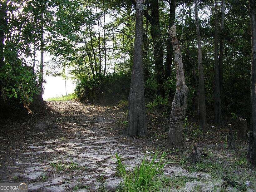 0 Jamestown Road Waycross, GA 31503 - Photo 3 of 19 a view of a forest filled with trees
