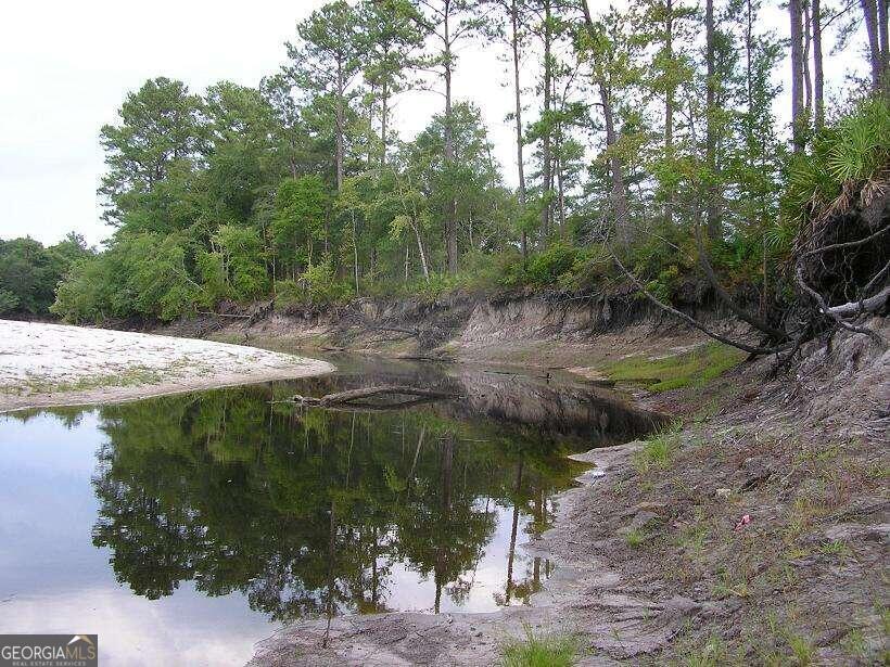 0 Jamestown Road Waycross, GA 31503 - Photo 4 of 19 a view of a lake from a yard
