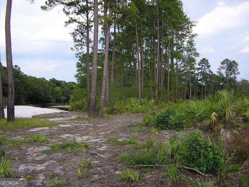 0 Jamestown Road Waycross, GA 31503 - Photo 5 of 19 a view of backyard with green space