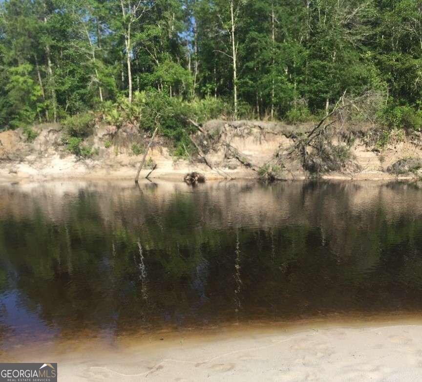 0 Jamestown Road Waycross, GA 31503 - Photo 6 of 19 a view of river covered with trees