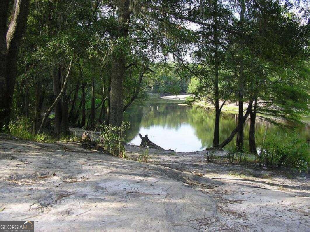 0 Jamestown Road Waycross, GA 31503 - Photo 8 of 19 a view of a lake view with a tree