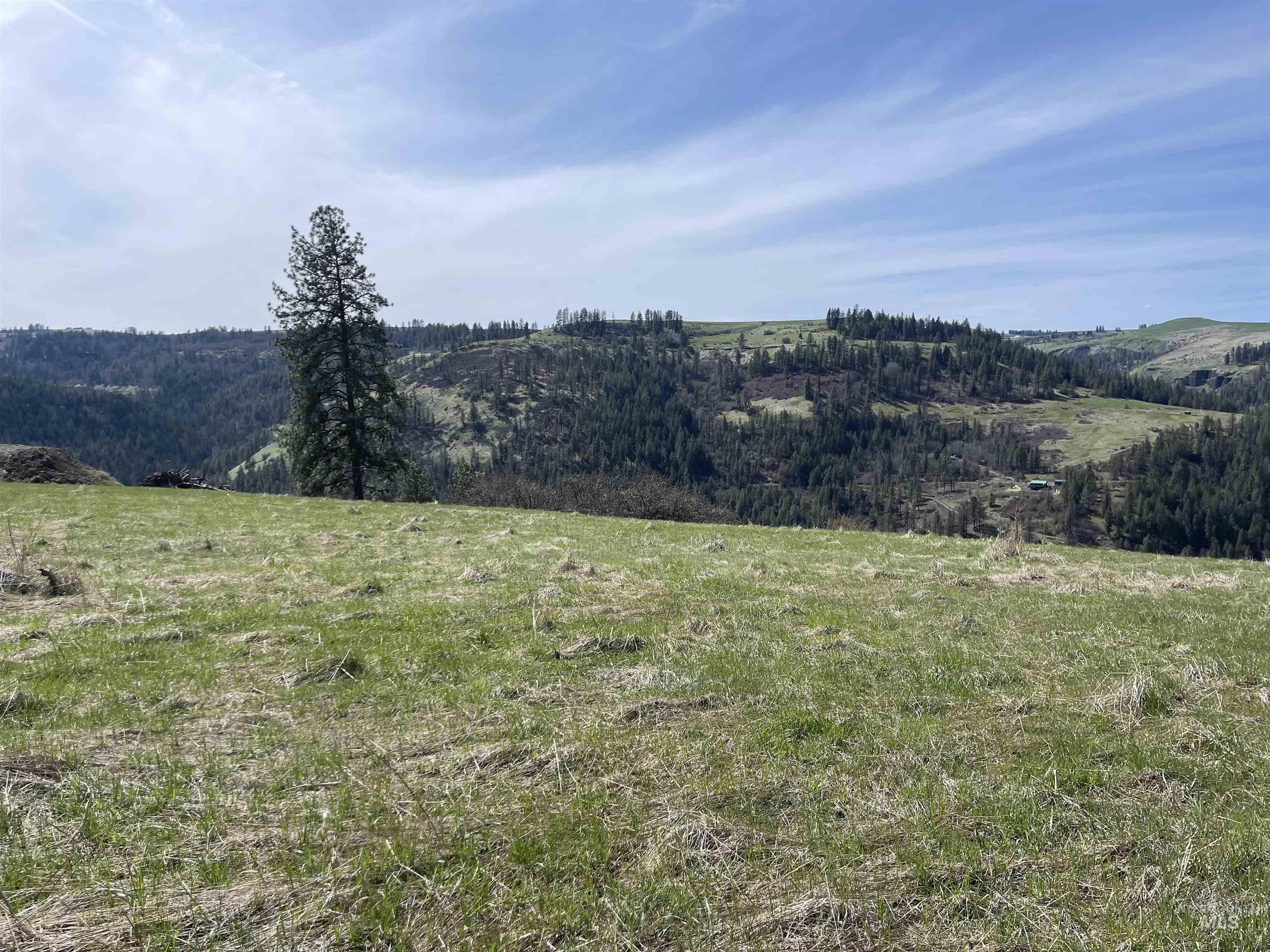 Tbd Wagonwheel Road Stites, ID 83552 - Photo 12 of 24