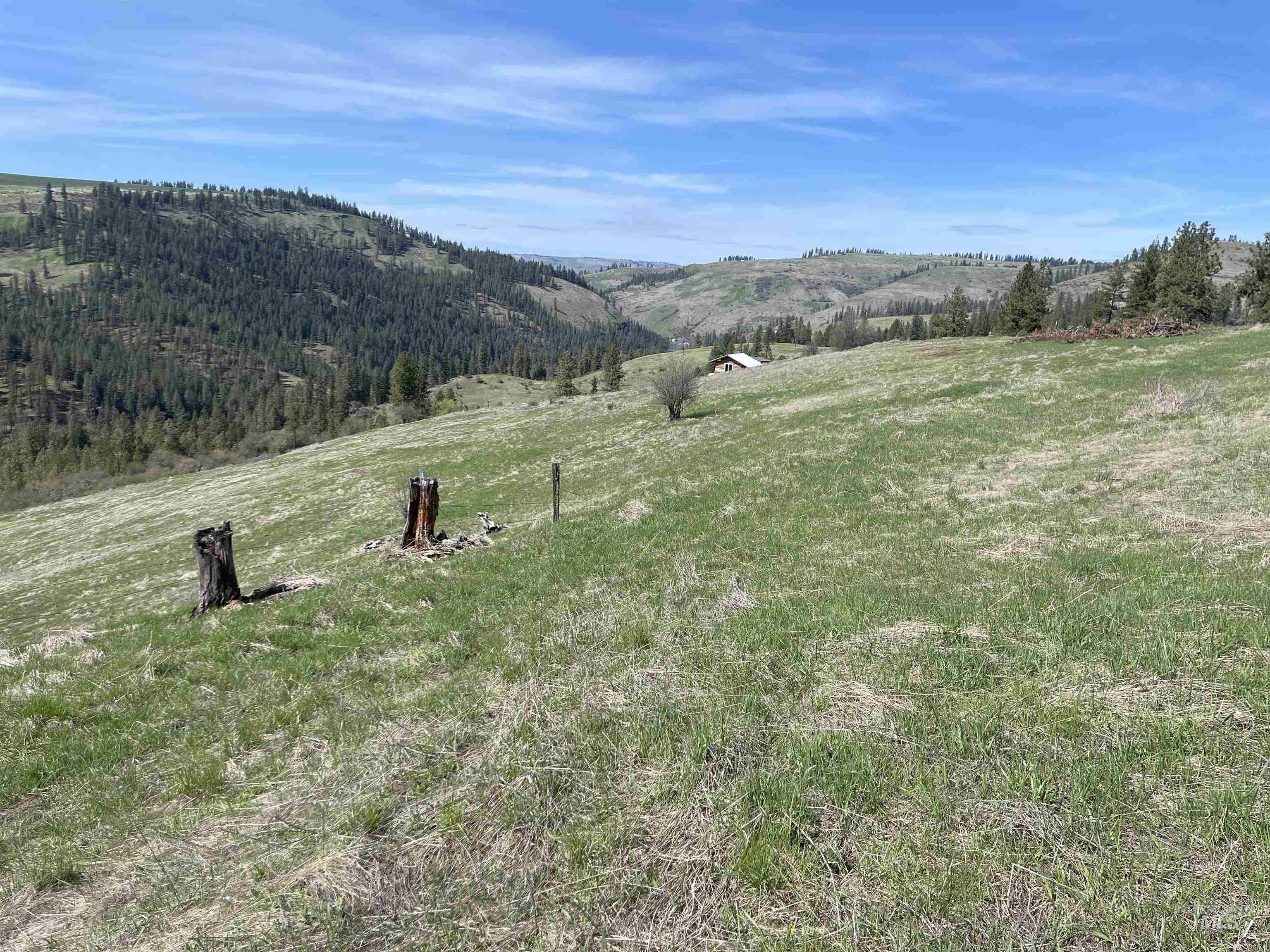 Tbd Wagonwheel Road Stites, ID 83552 - Photo 14 of 24