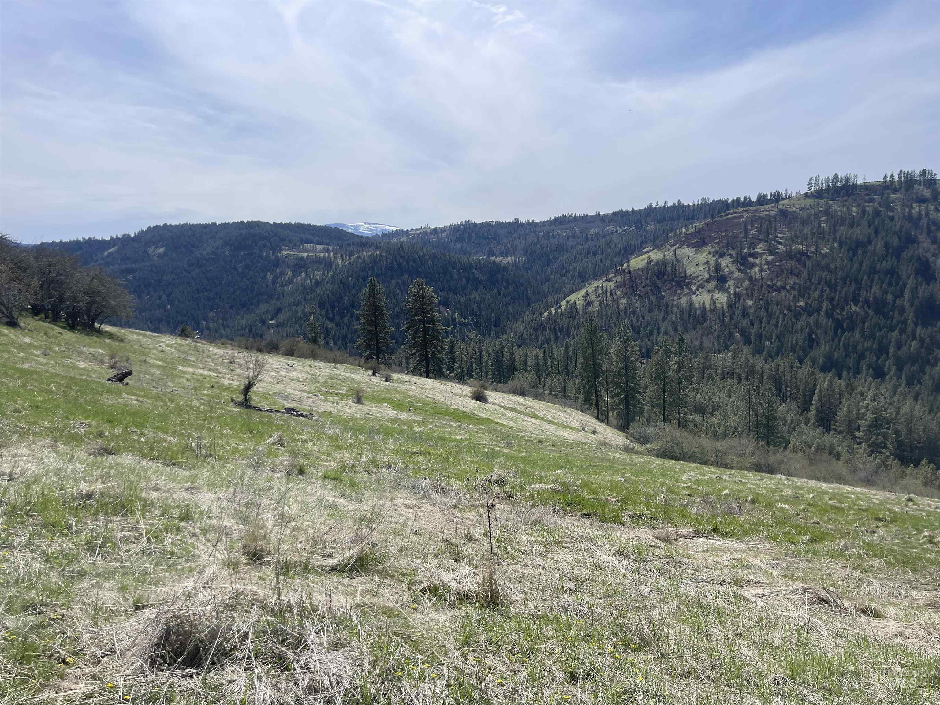 Tbd Wagonwheel Road Stites, ID 83552 - Photo 3 of 24