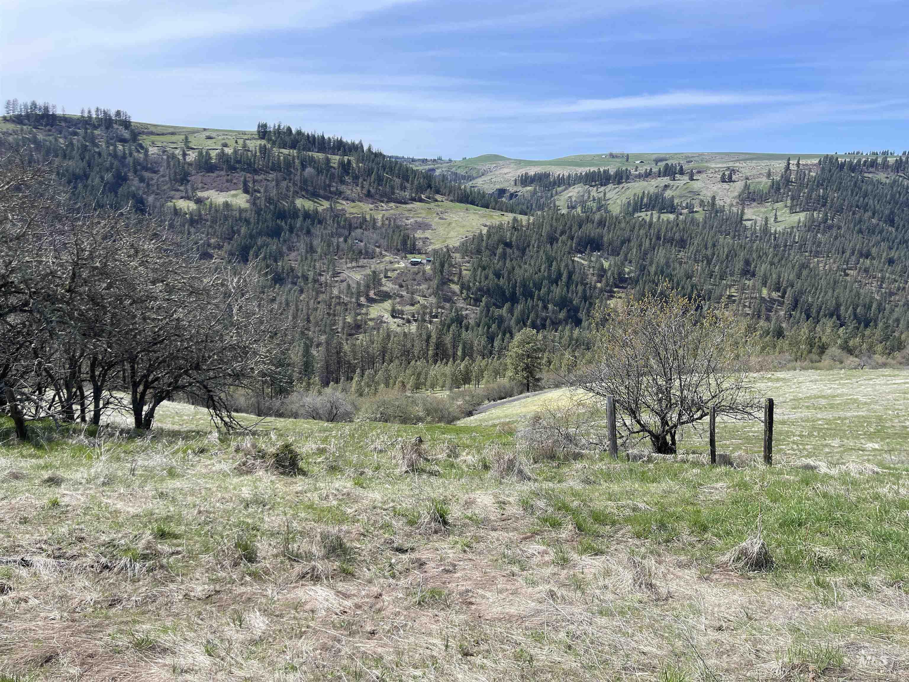 Tbd Wagonwheel Road Stites, ID 83552 - Photo 7 of 24
