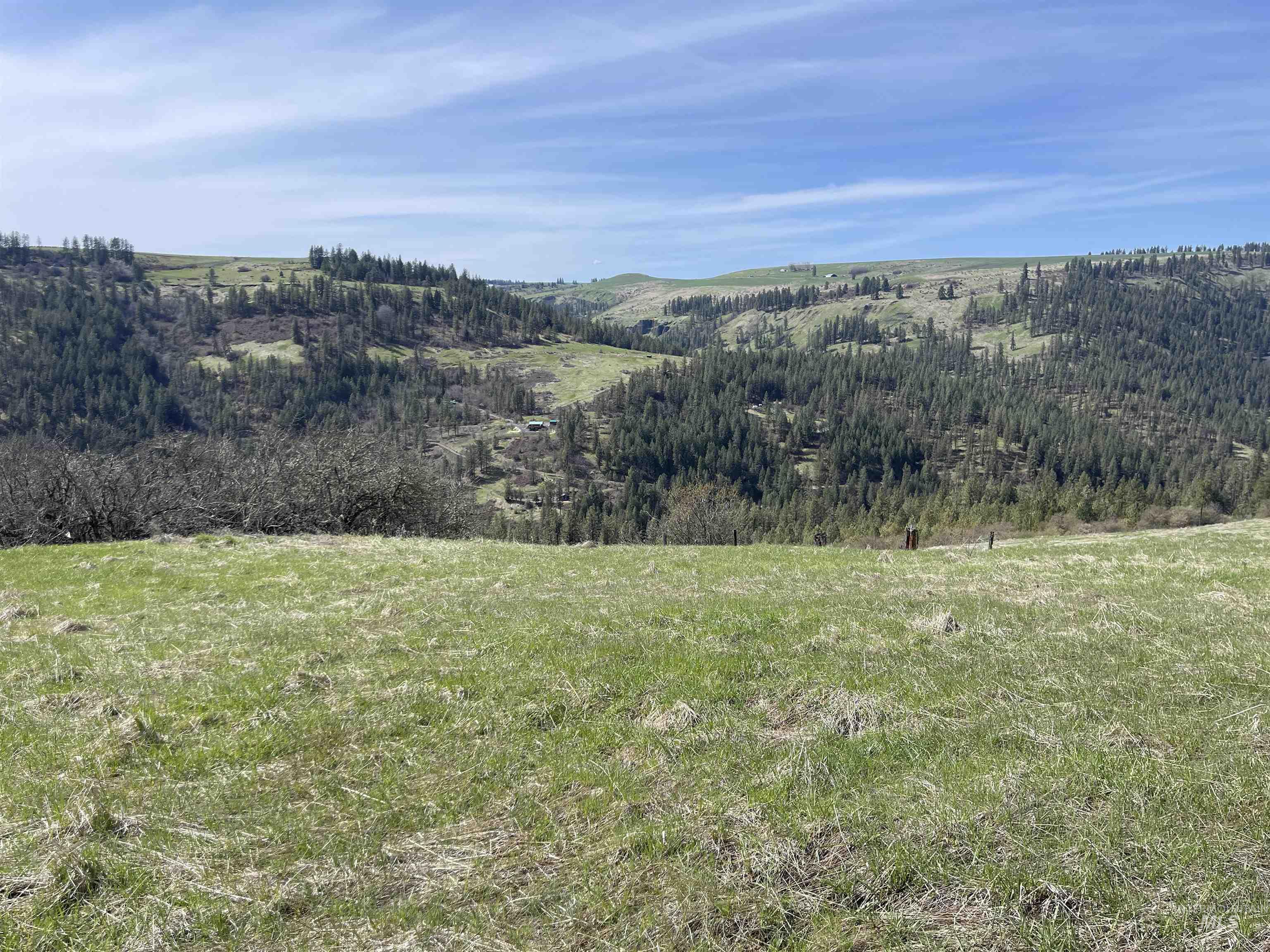 Tbd Wagonwheel Road Stites, ID 83552 - Photo 8 of 24