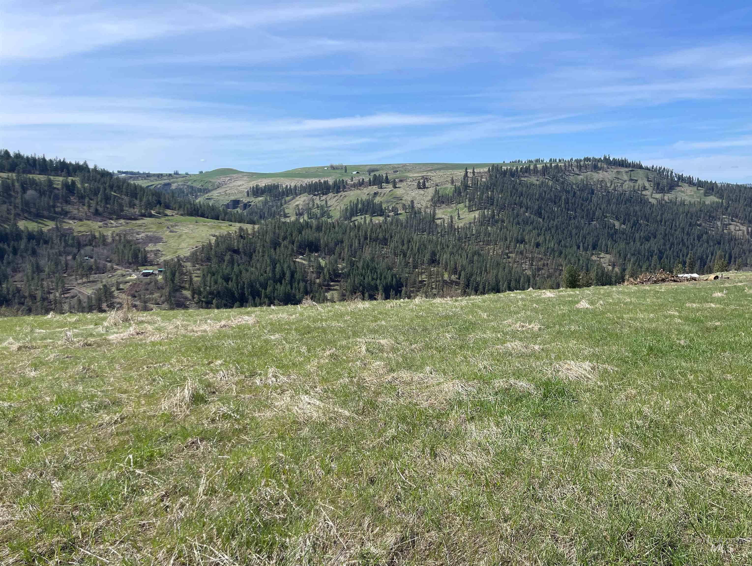 Tbd Wagonwheel Road Stites, ID 83552 - Photo 9 of 24