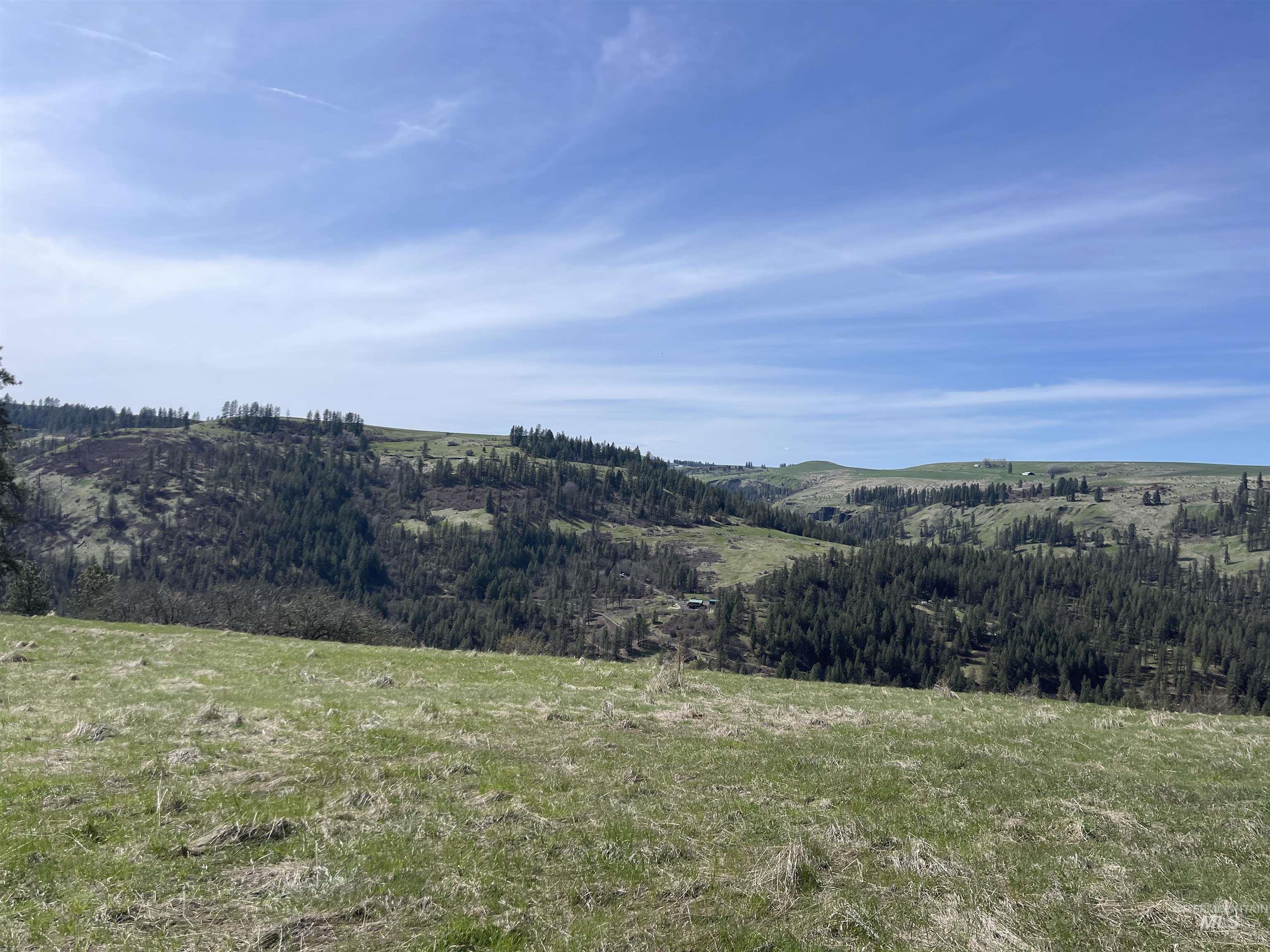 Tbd Wagonwheel Road Stites, ID 83552 - Photo 10 of 24