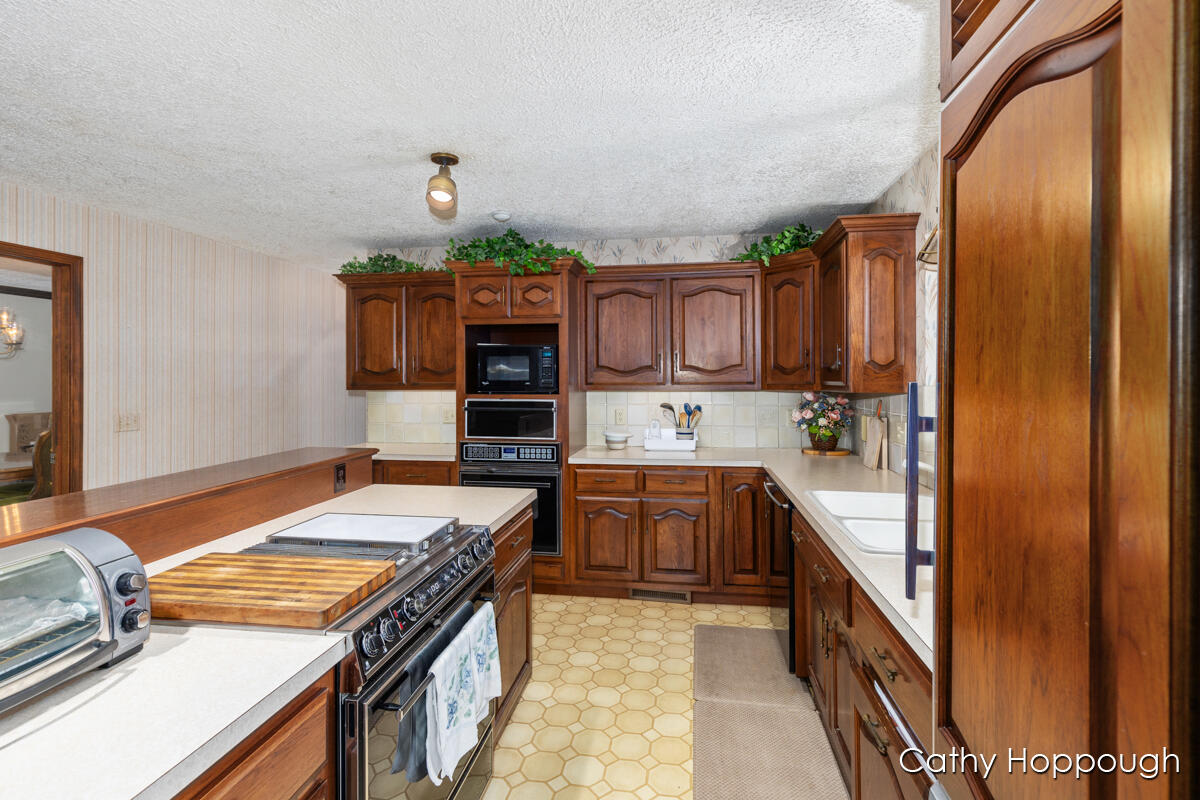 735 Prairie Creek Road Ionia, MI 48846 - Photo 14 of 81