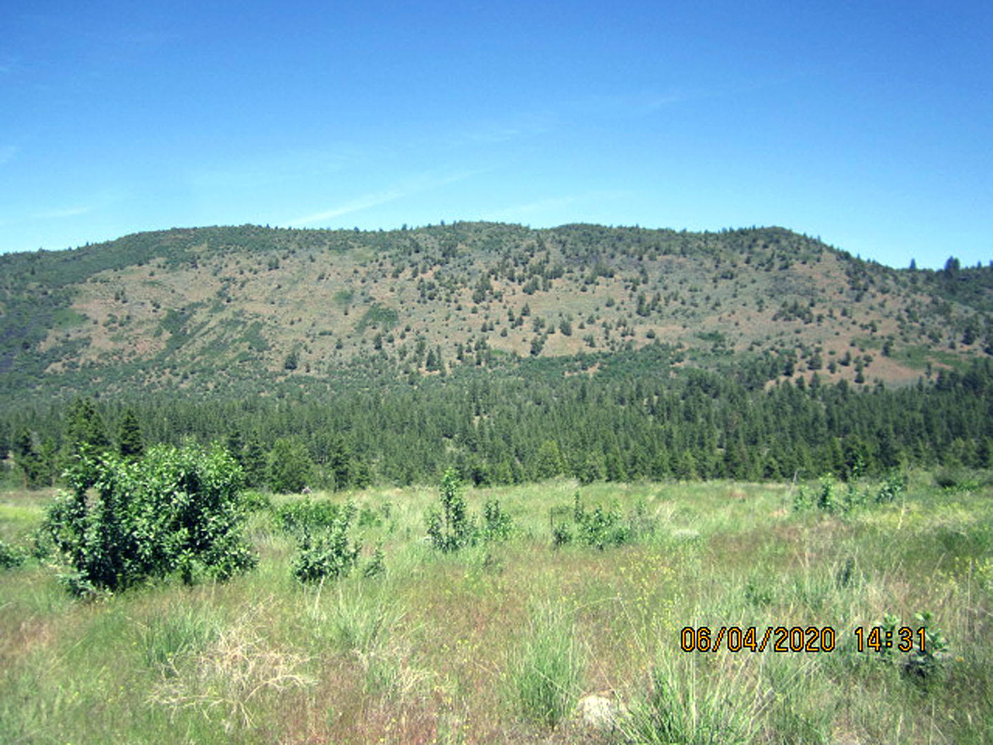 38 Twp Rnge 9 Sec 9 Sw4nw4 Road Klamath Falls, OR 97601 - Photo 6 of 19 Anderson-01