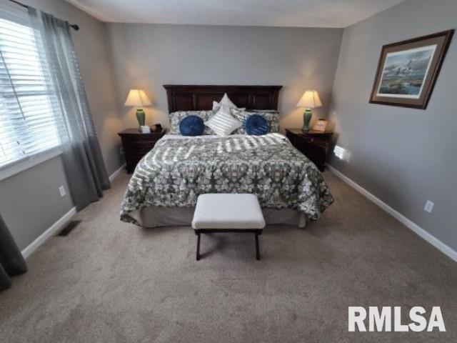 9251 Highway 148 Mount Vernon, IL 62864 - Photo 50 of 72