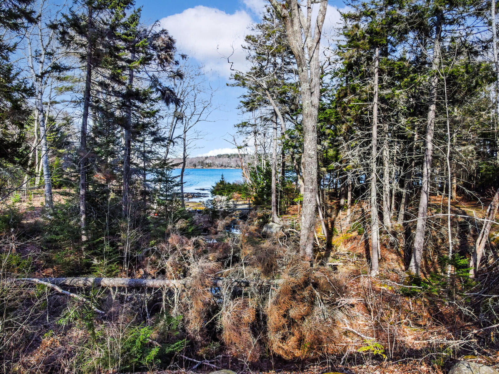 16 Farnham Point Road East Boothbay, ME 04544 - Photo 77 of 86 94_DJI_0774_copy_DxO_mls