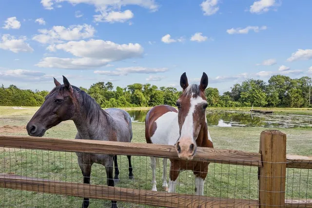 an aerial view of a house with a lake view