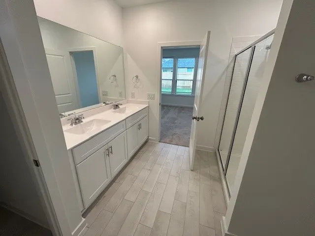 a bathroom with a sink a mirror and a shower