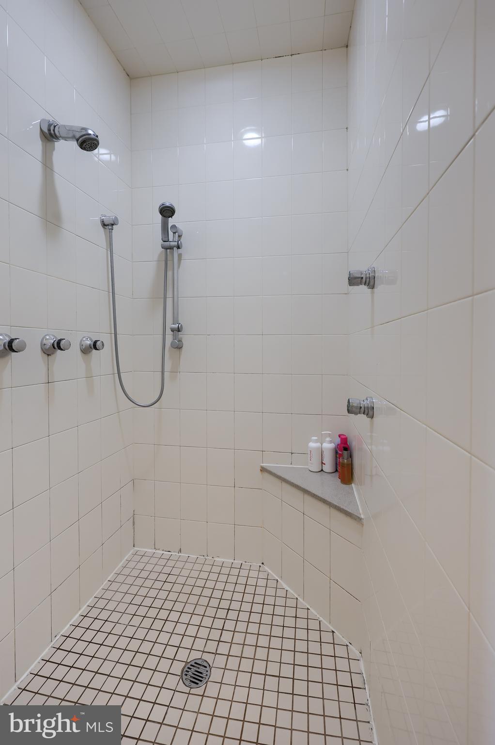 339 Harvest Drive Lititz, PA 17543 - Photo 35 of 69 a bathroom with a shower